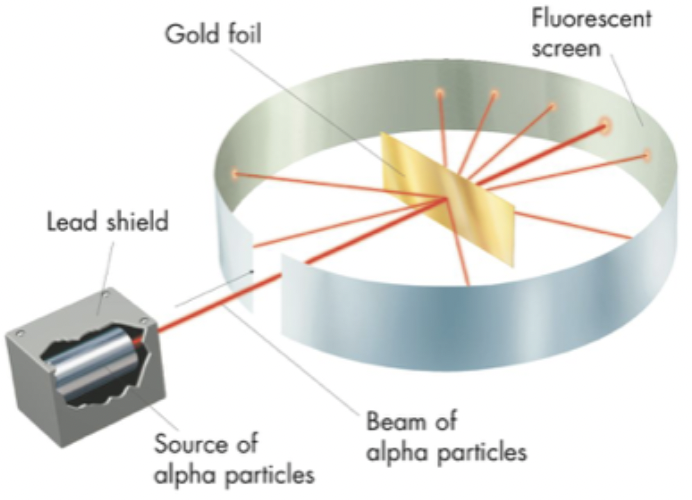 <ul><li><p>discovered the nucleus</p></li><li><p>gold foil experiment:</p><ul><li><p>positive charge in atom is super, super small (nucleus) but very heavy</p></li></ul></li></ul>