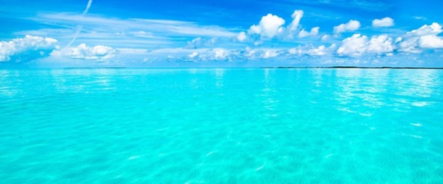 <p>sakin turkuaz</p>