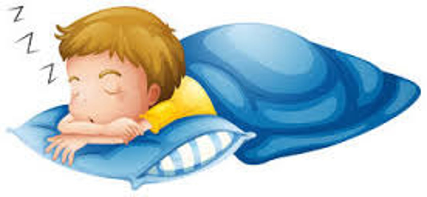 <p>to sleep</p>