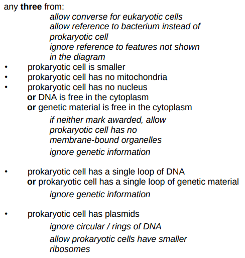 <ol><li><p>The prokaryotic cell doesn’t have its <strong><mark data-color="blue" style="background-color: blue; color: inherit;">genetic material</mark></strong> in a <strong><mark data-color="blue" style="background-color: blue; color: inherit;">nucleus</mark></strong></p></li><li><p>The prokaryotic cell has <strong><mark data-color="blue" style="background-color: blue; color: inherit;">plasmids</mark></strong></p></li><li><p>The prokaryotic cell is <strong><mark data-color="blue" style="background-color: blue; color: inherit;">smaller</mark></strong></p></li></ol><p></p>