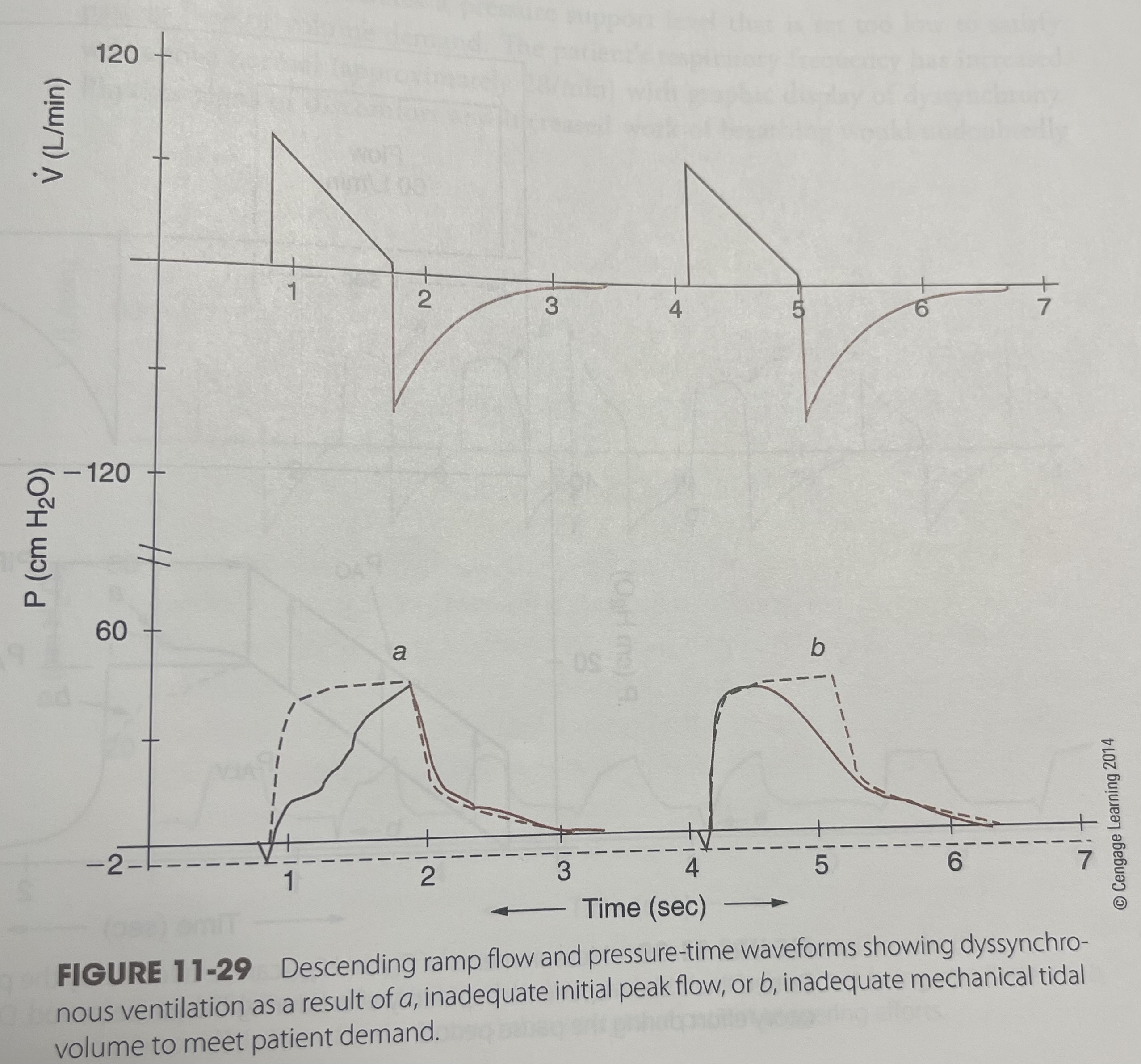 <p>What is this waveform?</p>