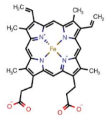 <p>What is this a picture of?</p>