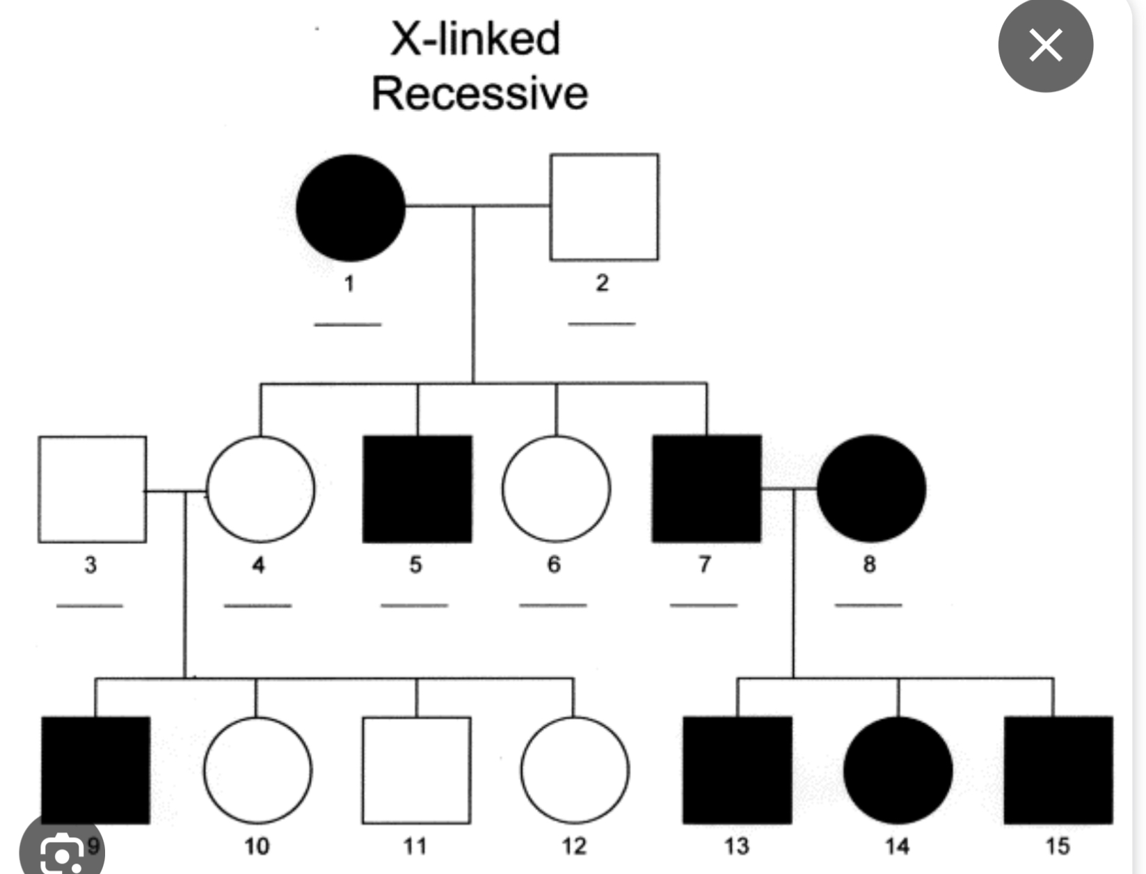 <p>^ Red-green colour blindness</p>