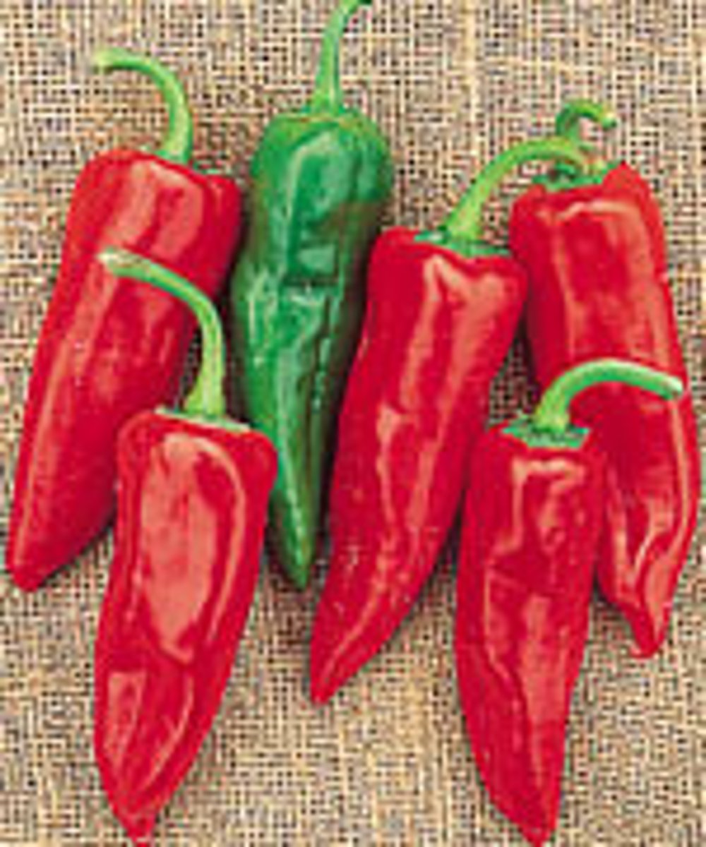 <p>chiles, chili peppers</p>