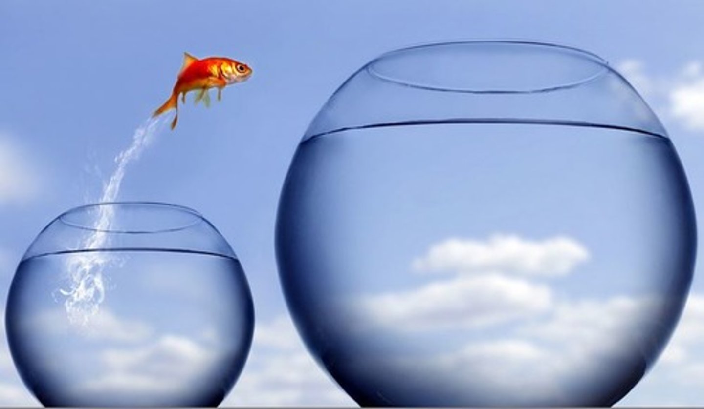 <p>Es un modelo a seguir. lo que se espera de ti</p>