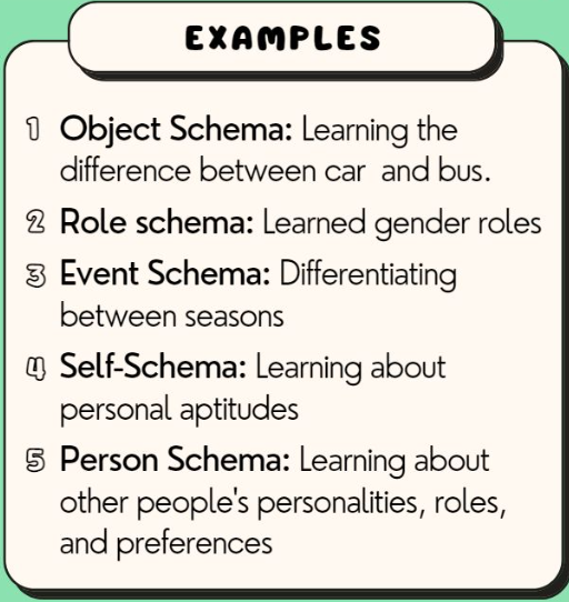 <p>A conceptual framework that helps organise and interpret information based on past experiences.</p>