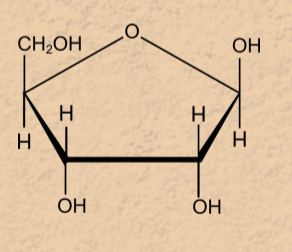 <p>Which structure is this?</p>