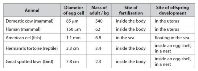 <p>The eel egg cell is larger than the human egg cell, yet an adult eel is smaller than an adult human. Analyse the data in the table to explain why it is advantageous for the eel to have a larger egg cell. (2)</p>