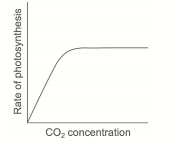 <p></p>