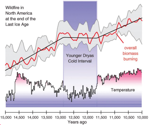 <p>What does Fig 5.7 represent; be specific to area and year?</p>