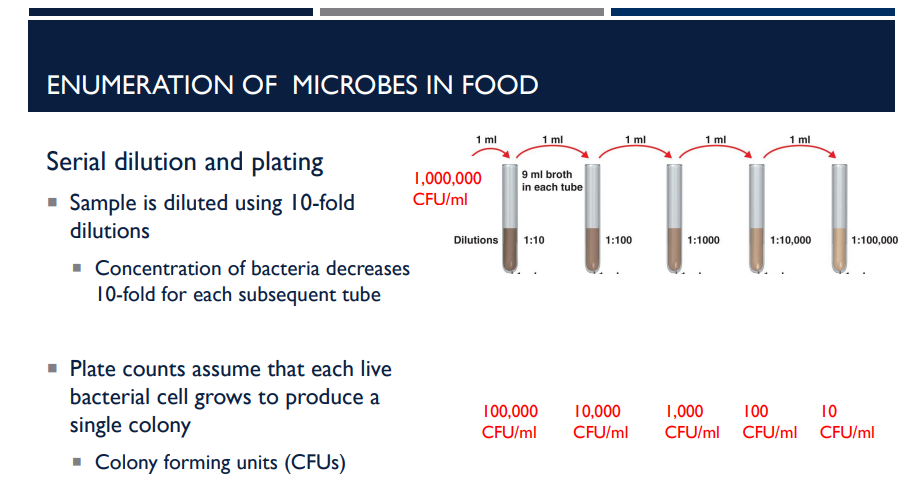 <p>Explain what serial dilution and plating does. </p>