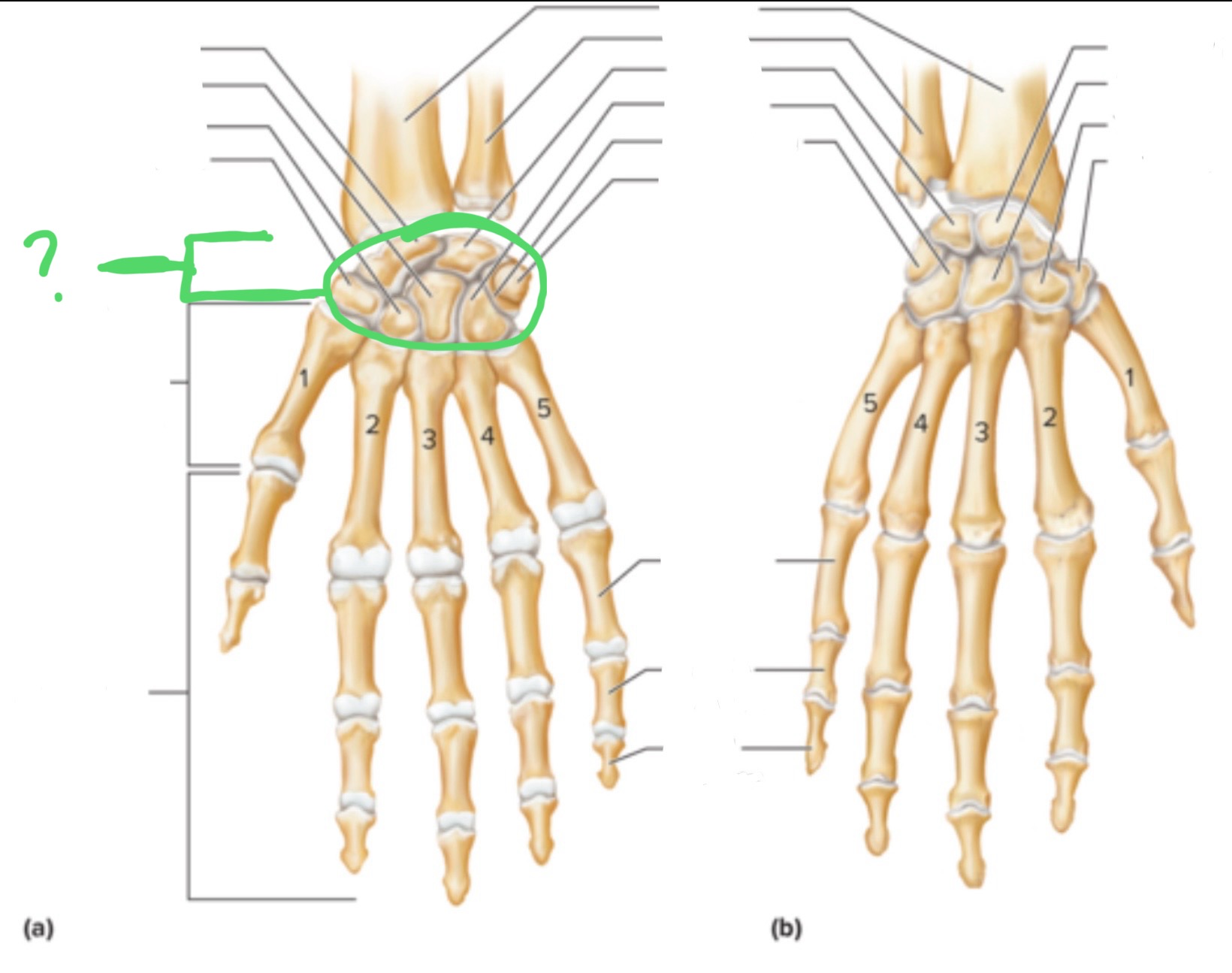 <p>What are these?</p>
