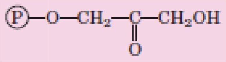 <p>What structure is this?</p>