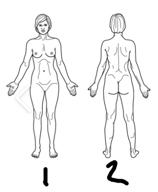 <p>2?</p>