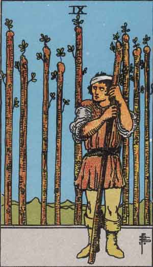 <p>9 of wands</p>