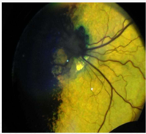 <p>what is this?</p>