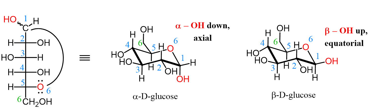 <p>In glucose, this as the -OH group of C-1 cis to the -CH<sub>2</sub>OH substituent (equatorial and up)</p>