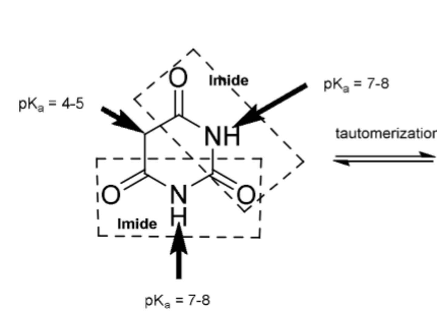 <p>SAR of barbituates</p>