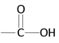 <p>Carboxyl Group</p>