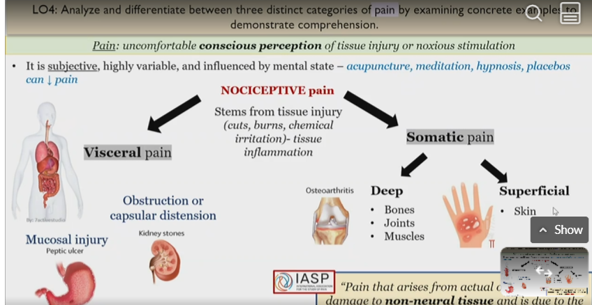 <p>Pain from tissue injury that causes injury inflation</p><p>somatic or visceral </p>