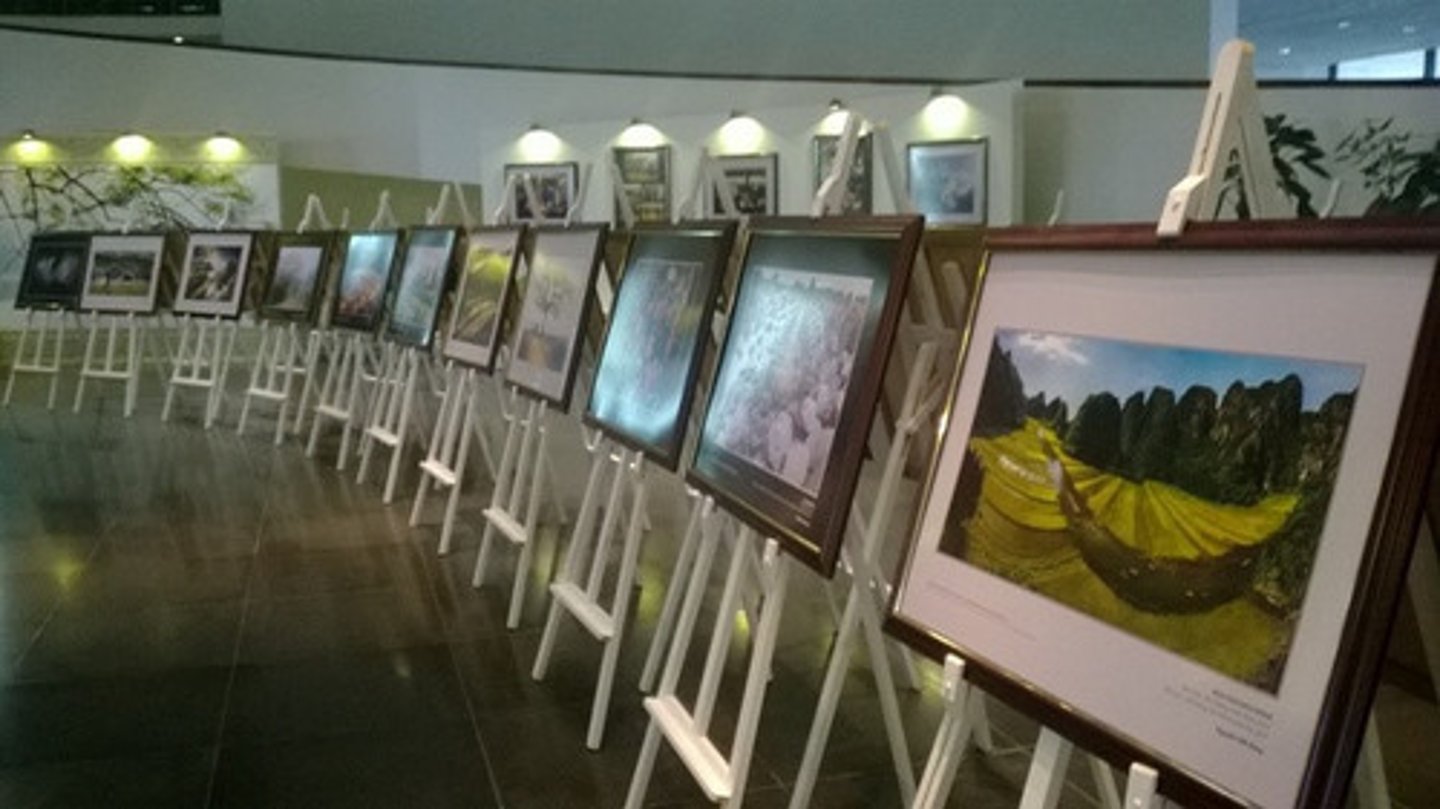 <p>buổi triển lãm</p>