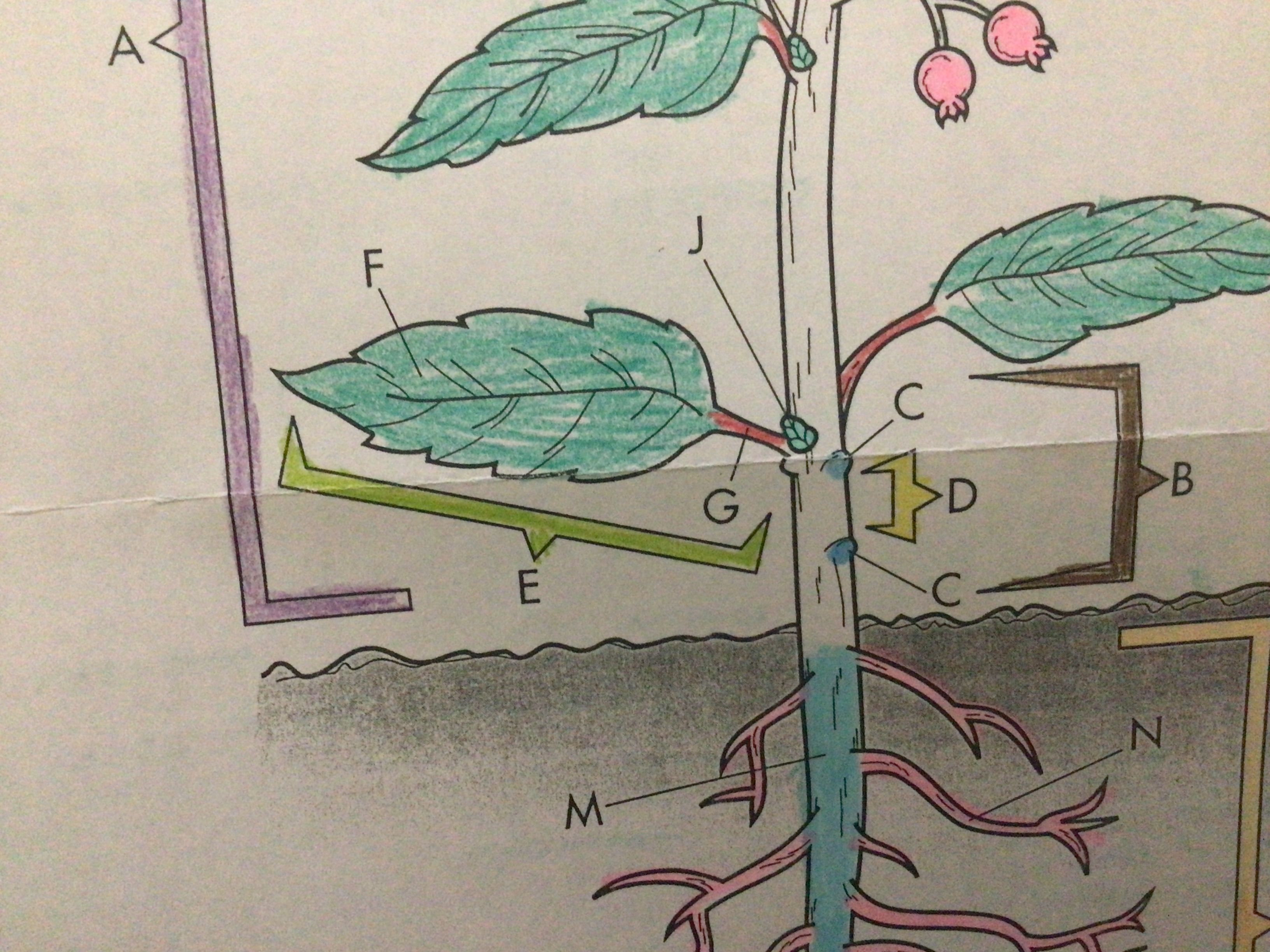 An extension which joins the blade to the stem