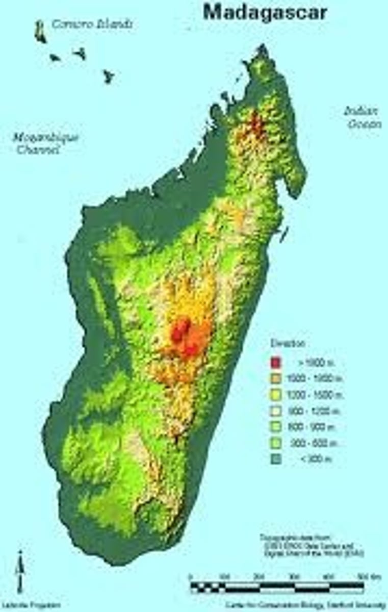 <p>Vertical distance above sea level</p>