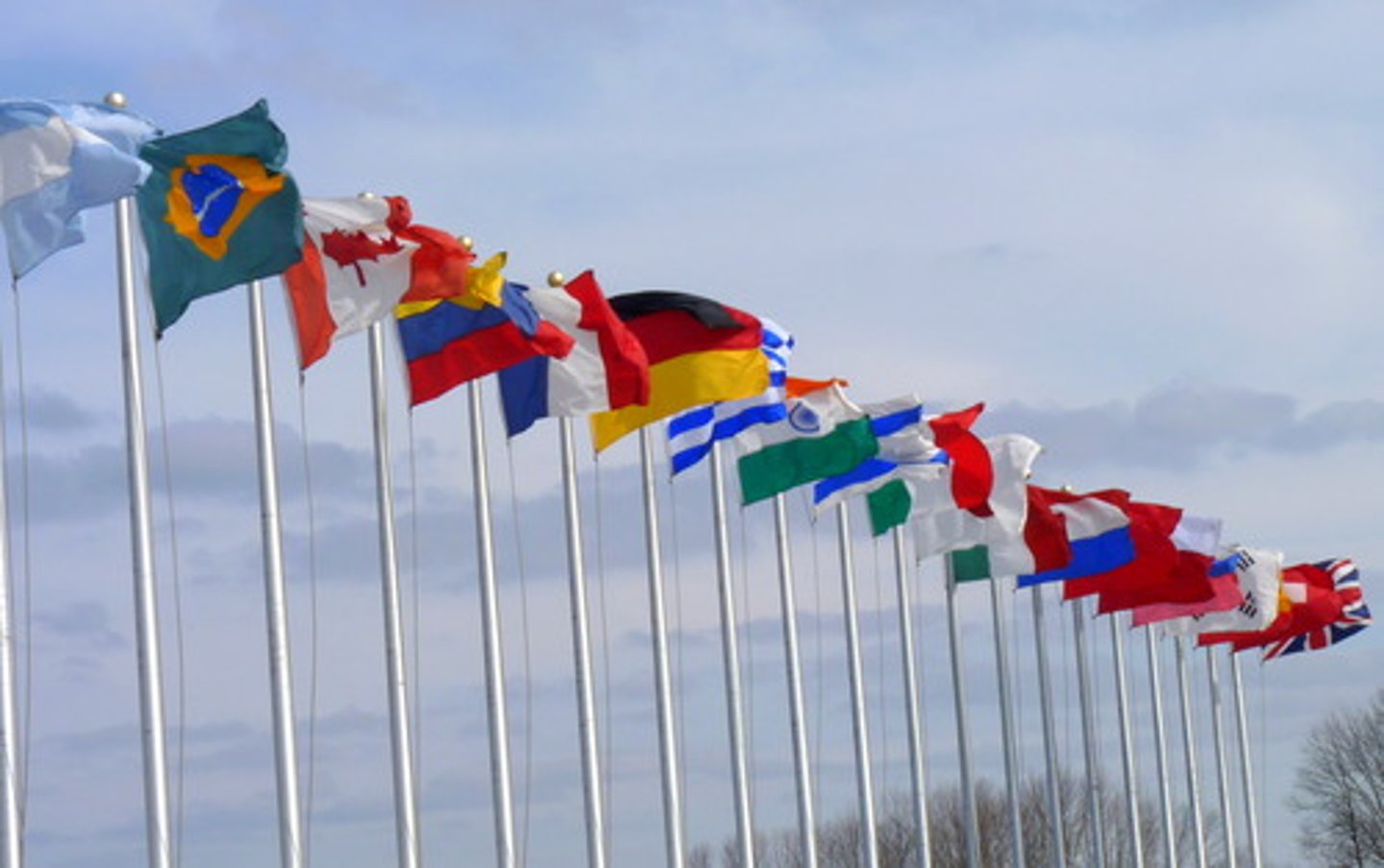 <p>nationality</p>