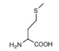 <p>Methionine (M)</p>