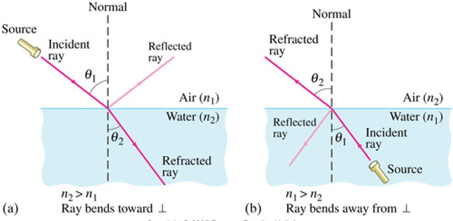 <p>Light rays 'bend' towards the normal</p>
