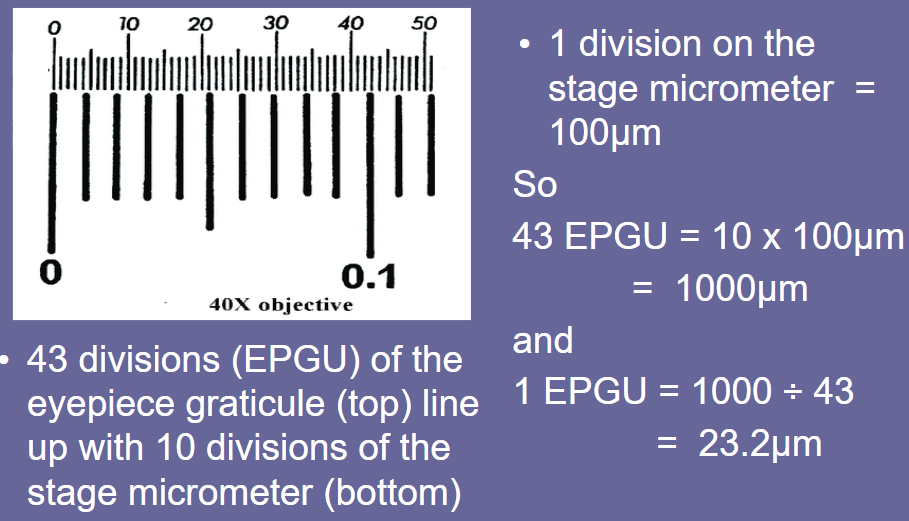 worked example