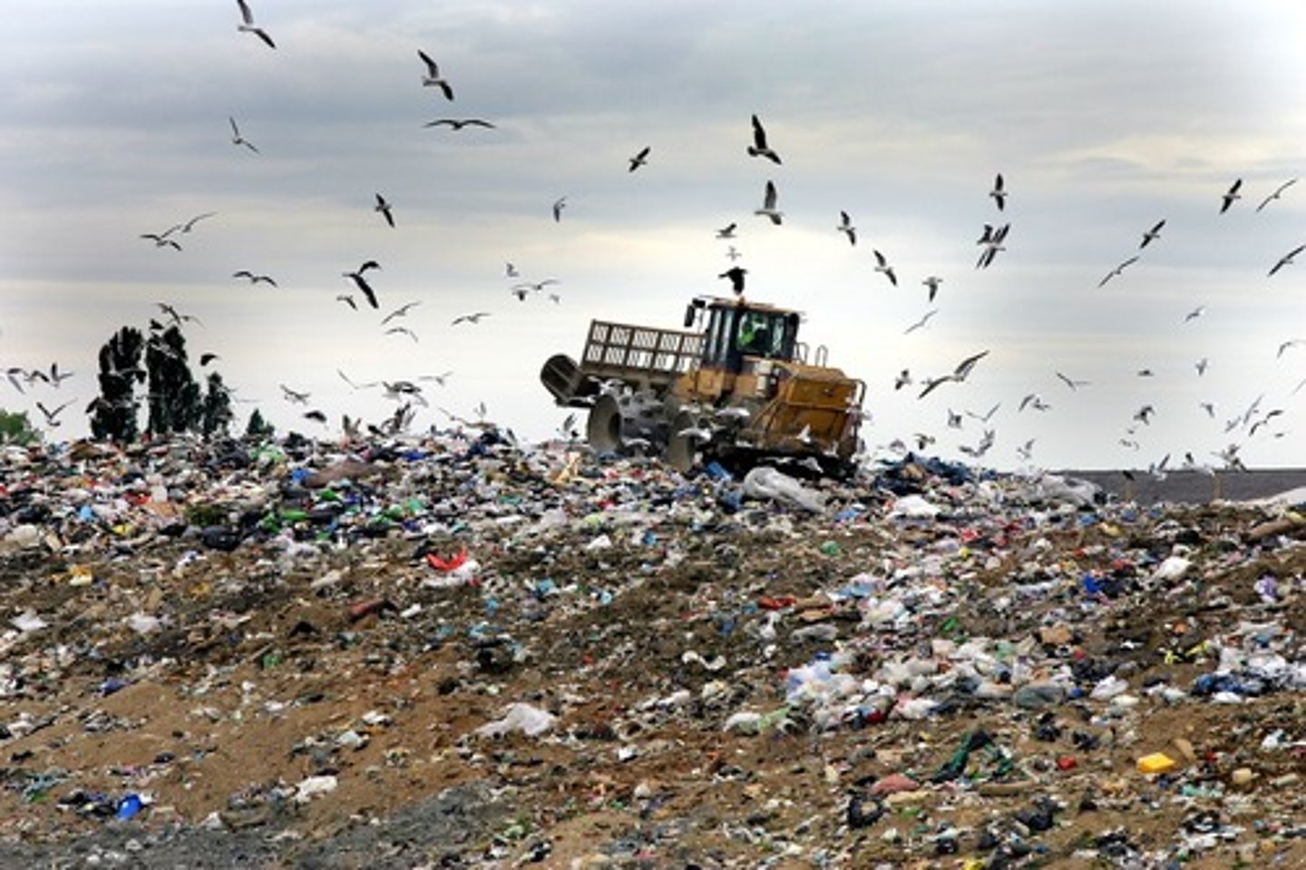 <p>Any unwanted material or substance that results from a human activity or process.</p>