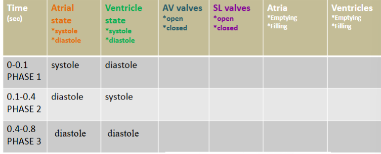 <p><span style="background-color: transparent;"><span>Contraction (forcing blood out)</span></span></p>