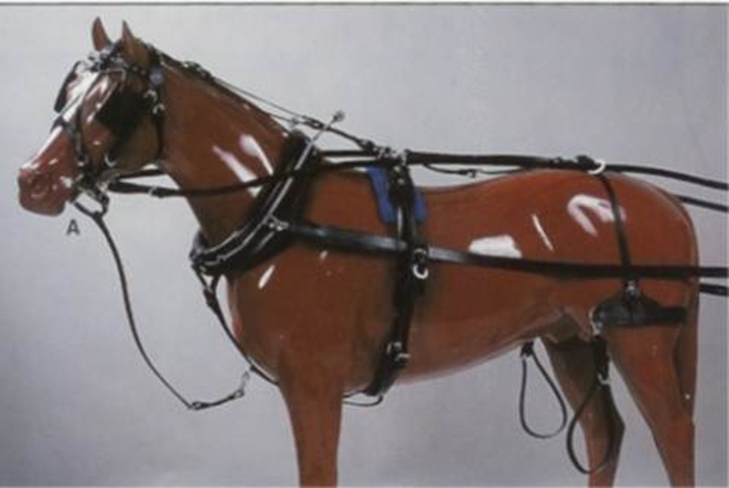 <p>controlar</p>