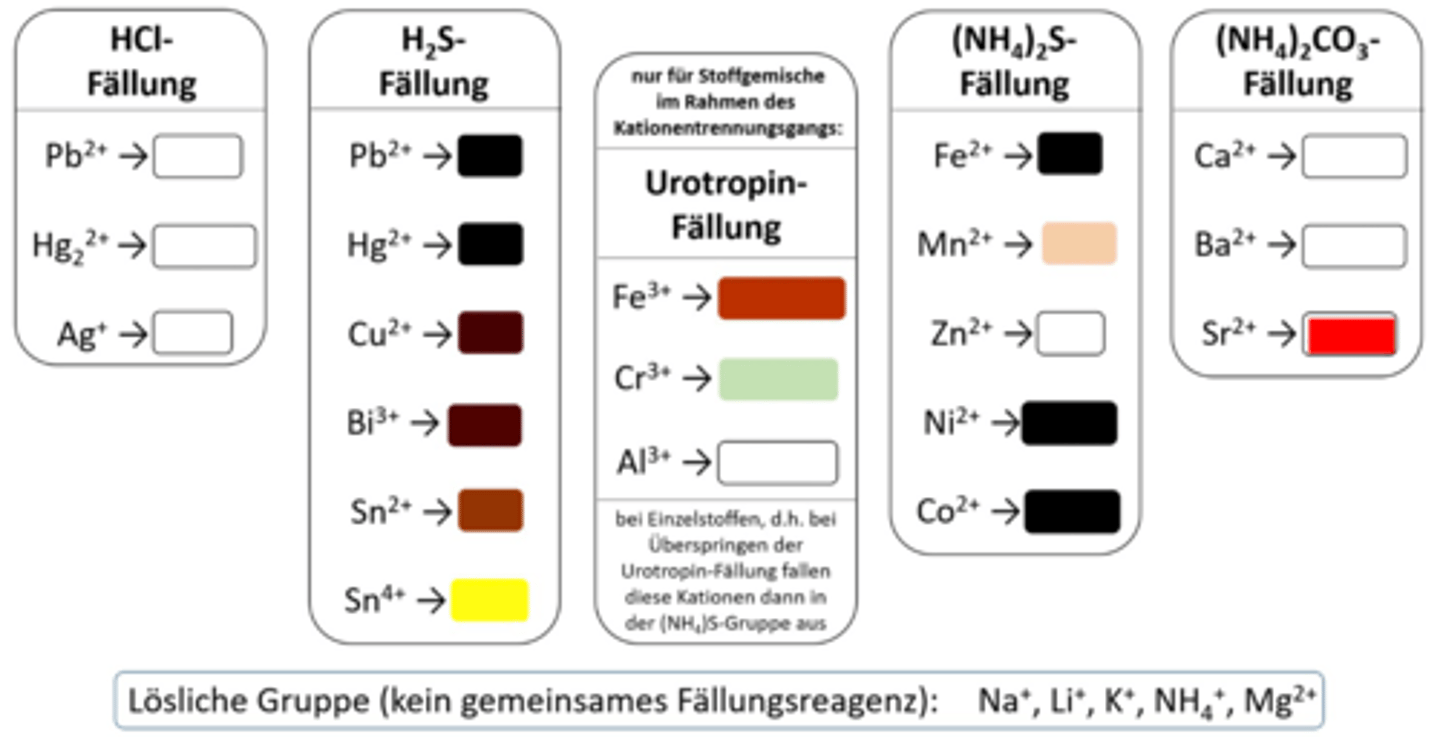 <p>Sr²⁺ NS</p>