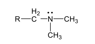 <p>Basic Functional Group </p><p>1. Aliphatic Amines: PKb:3-5: (primary, secondary, tertiary, please</p><p>review the structure in the table), saturated nitrogen atom with no</p><p>adjacent electron withdrawing groups.</p>