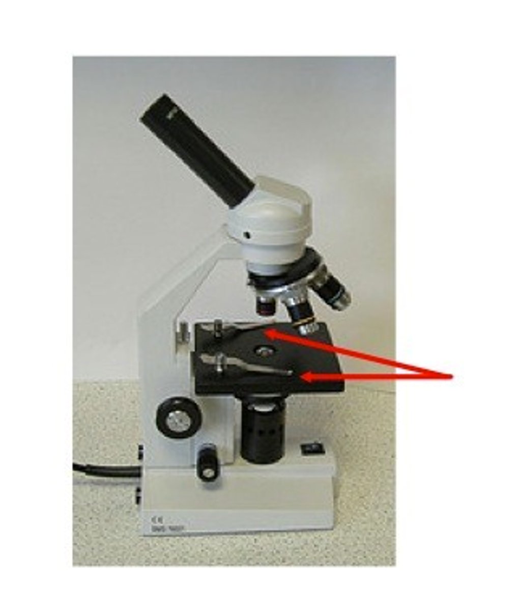 <p>shiny clips on top of the stage. They hold the slide in place</p>