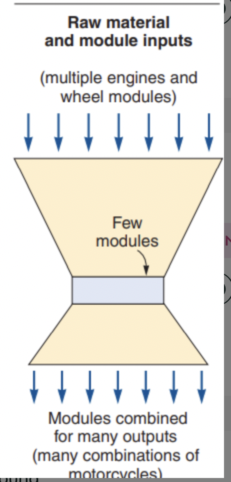 <p>Product oriented production process that uses modules</p><p style="text-align: start">ex. Harley Davidson, raw materials and module inputs,</p><p style="text-align: start">multiple inputs, few modules, multiple outputs</p>