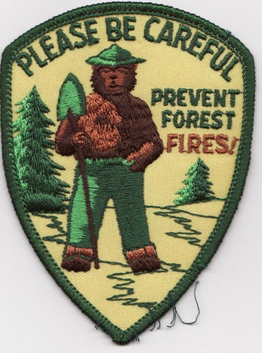 <p>Practice of reducing the occurrence of natural forest fires. Leads to over-growth of vegetation, and eventually, more severe forest fires.</p>