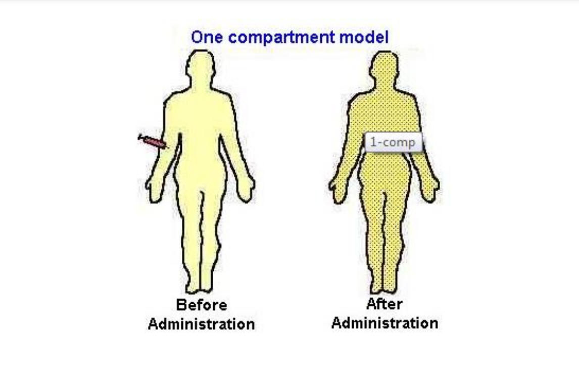 <p>One compartment model </p>