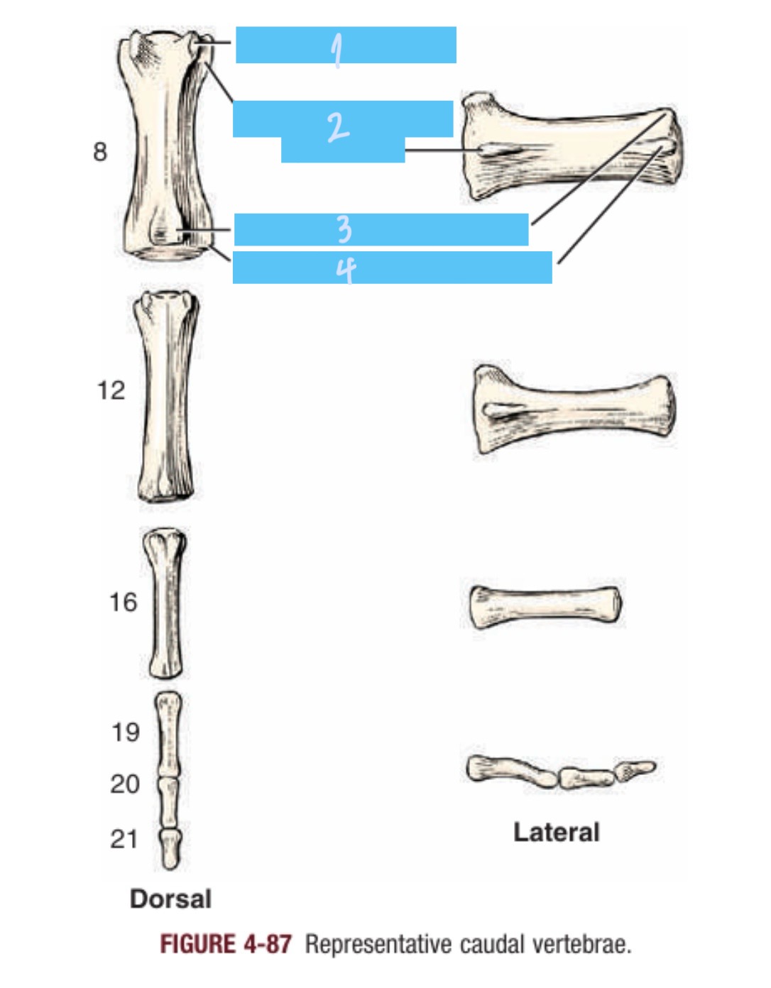 <p>2</p>