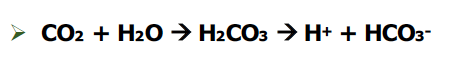 <p>H2CO3 unstable→ add H</p><p>H added which makes pH dec (more acidic) → coral bleaching</p>