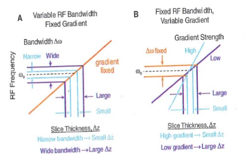 <p>linearly increases with bandwidth, and inverse to Z gradient strength</p><p>stronger gradient - narrower slice thickness</p><p>broader pulse - thicker slice</p>