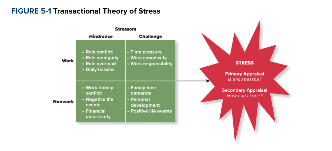 Explains how stressors are perceived and appraised as well as how people respond to those perceptions and appraisals.

\
