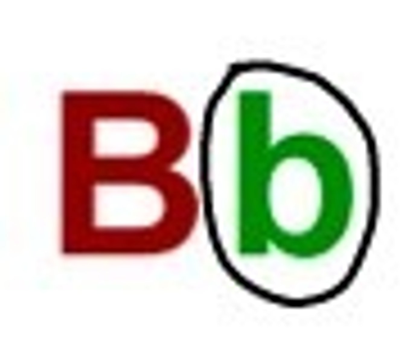 <p>lowercase letter</p>