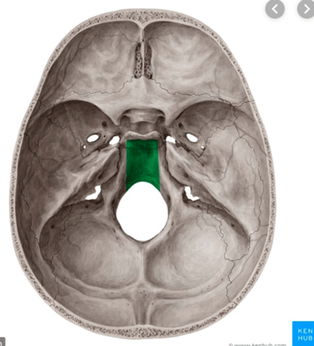 knowt flashcard image