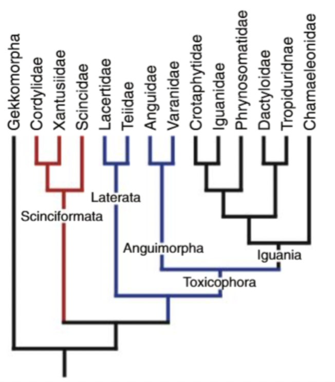 <p>Describe this figure </p>