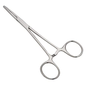 <p>Long Transfer Forceps</p>