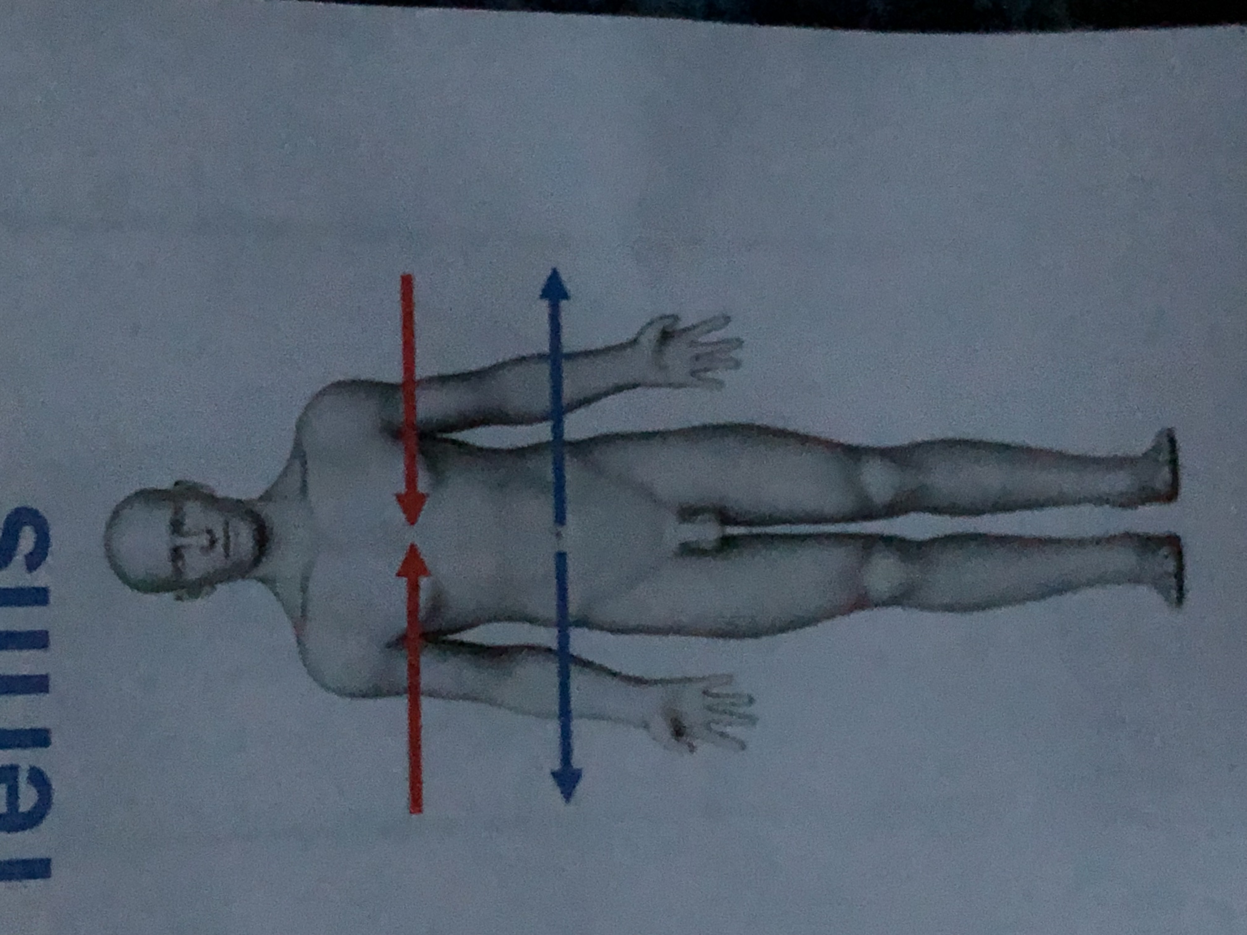 <p>Toward or at the midline of the body; on the inner side of</p><p>Ex the heart is _____ to the arm</p>