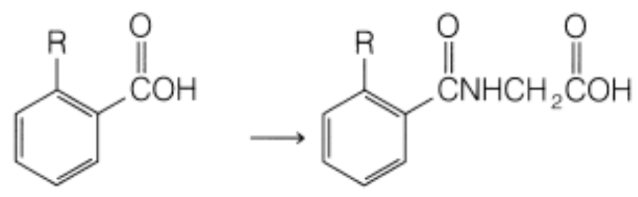 <p>Determine the metabolic reaction</p>